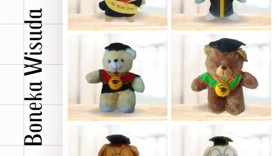 Boneka Wisuda Custom Murah: Kado Mewah Harga Ramah