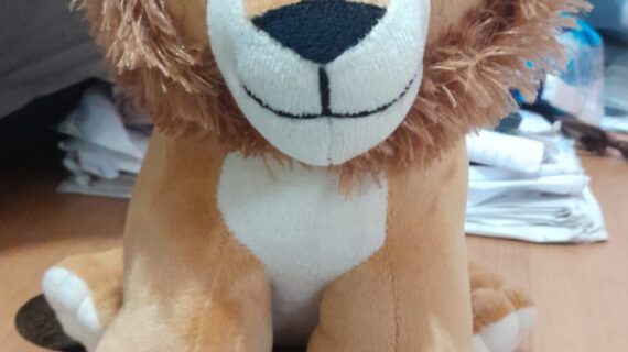 Boneka Lucu Custom Solusi Kado Spesial yang Beda dari yang Lain