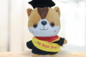 Rayakan Kelulusan Spesial dengan Boneka Custom Wisuda