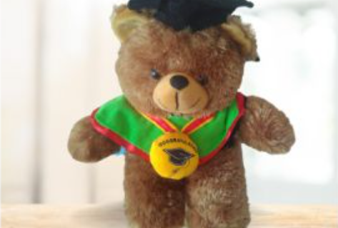 Cara Memilih Souvenir Wisuda yang Berkesan di Boneka Jannah